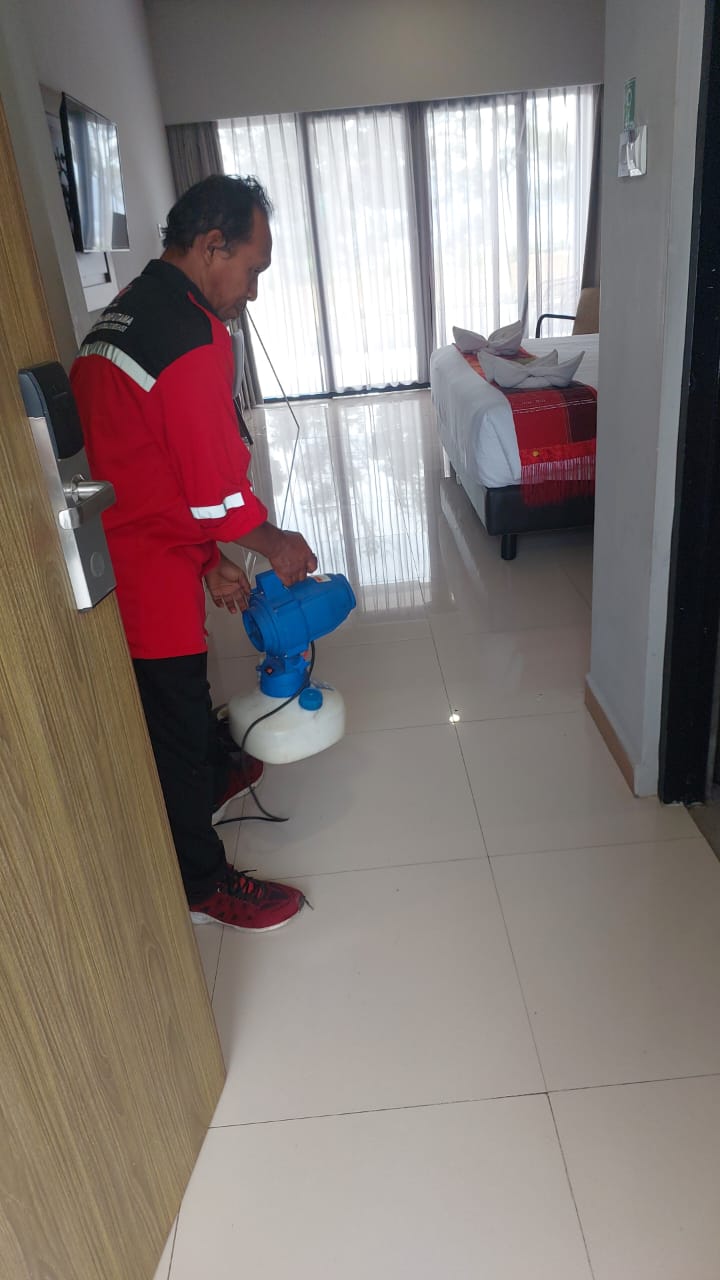 WhatsApp Image 2025-08-12 at 09.51.11