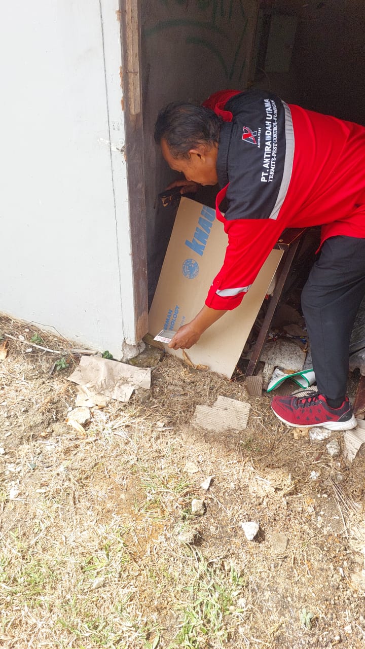 WhatsApp Image 2025-08-12 at 09.51.12